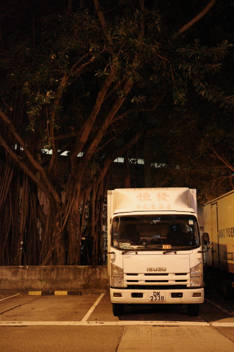 Photo by Bruce Wagner