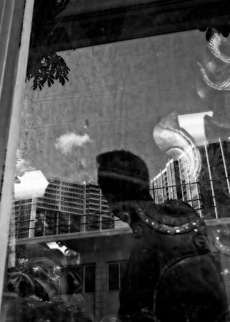 Photo by David Rockwood