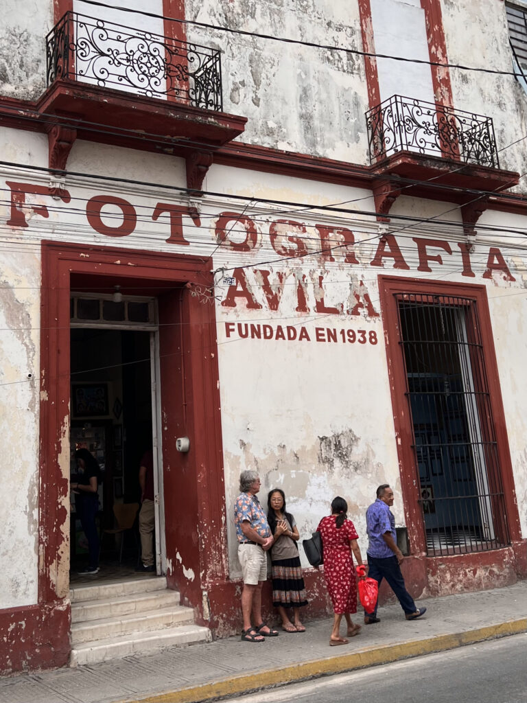 Photo by Istvan Bauer