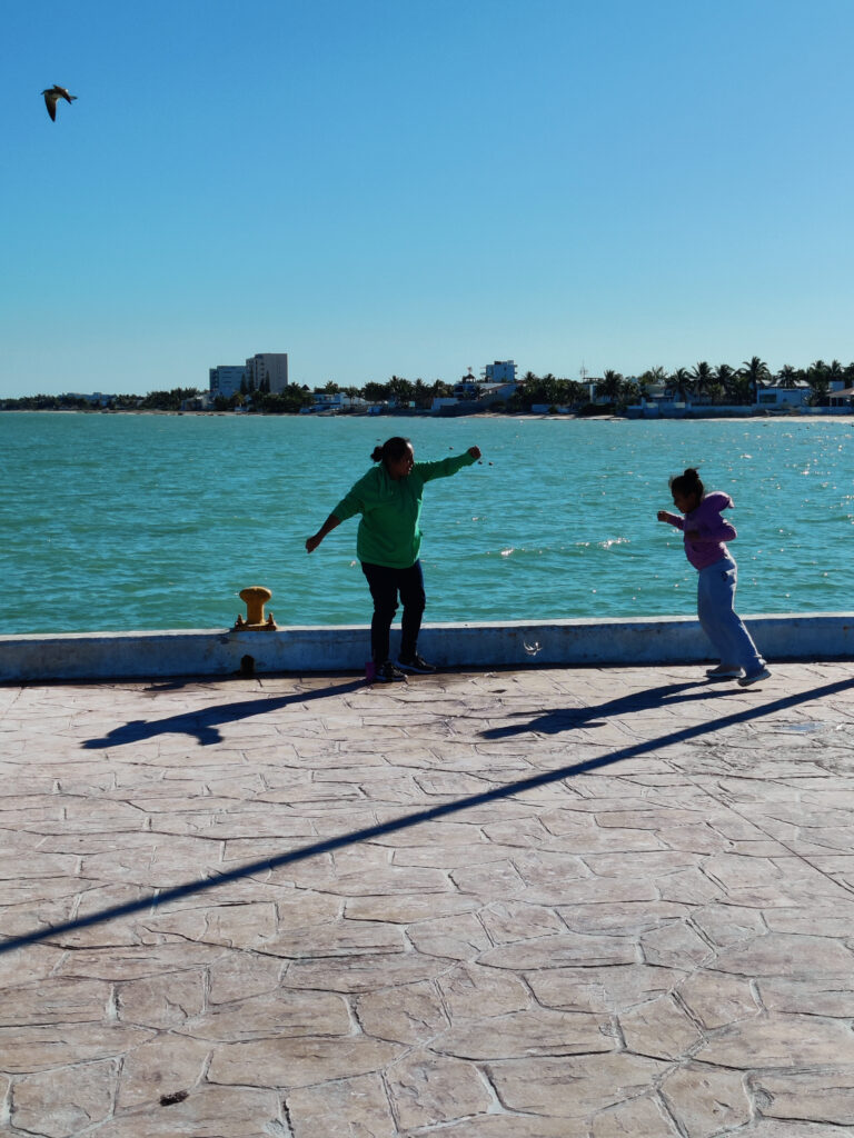 Photo by Istvan Bauer