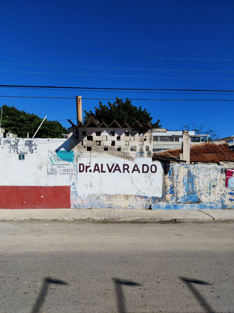 Photo by Istvan Bauer