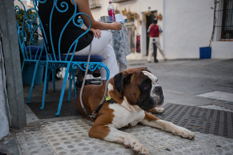 Street photo in Mijas, Spain by Black Pixel