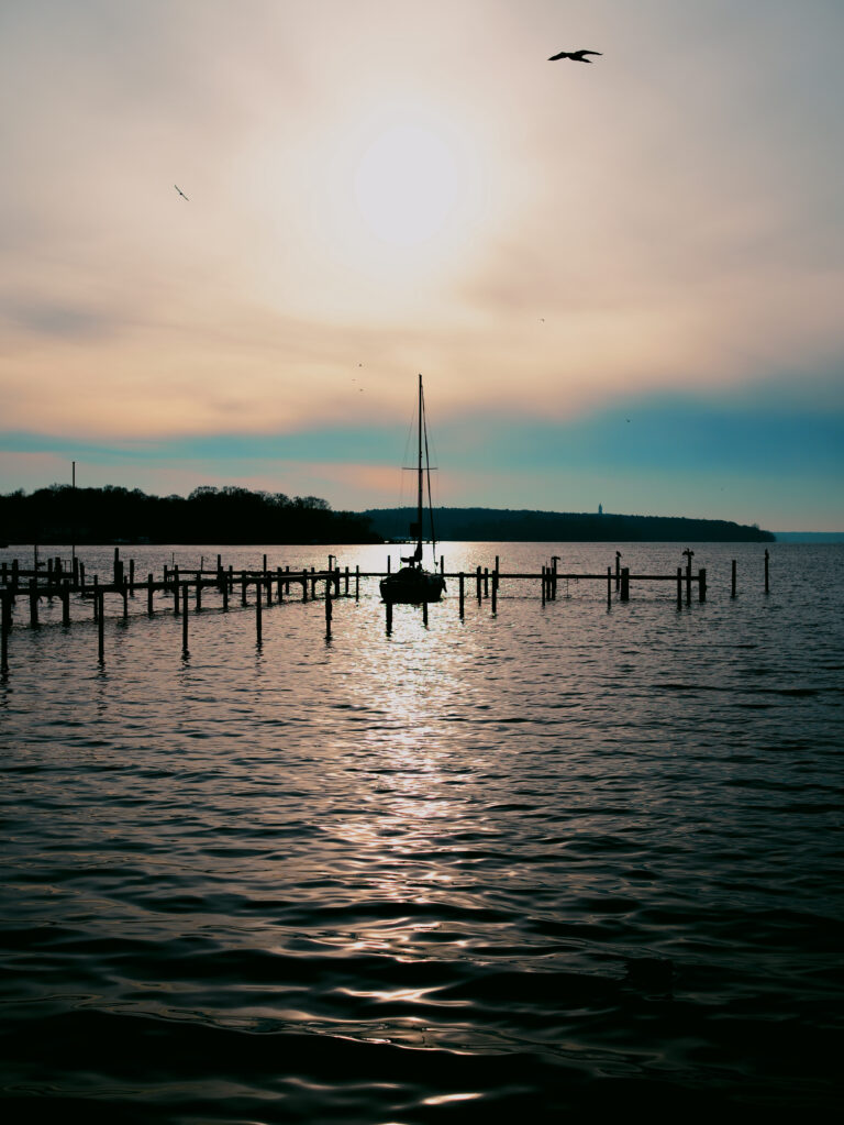 Photo by Istvan Bauer