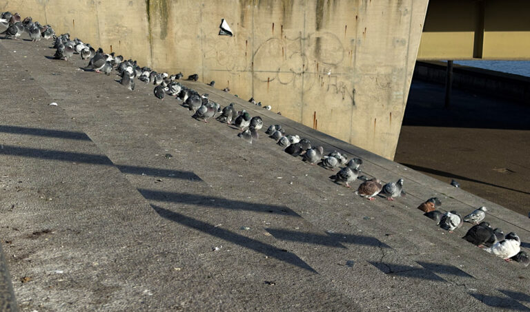 Photo by Franck Toto