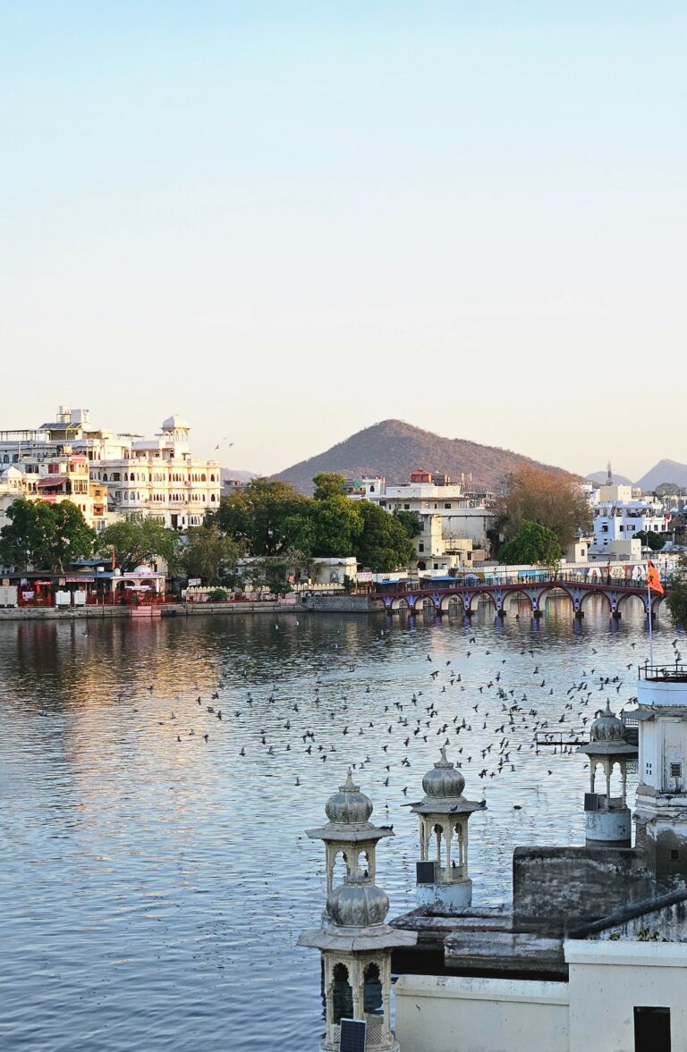 Street photo in Udaipur, India by Durga Agarwal