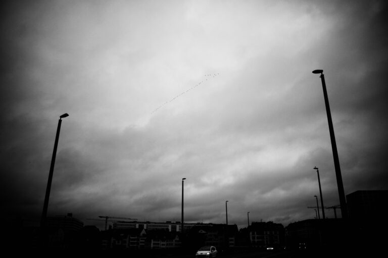 Photo by Jef 📷🍀