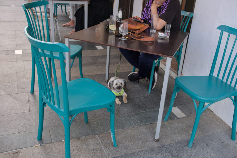 Street photo in Mijas, Spain by Black Pixel