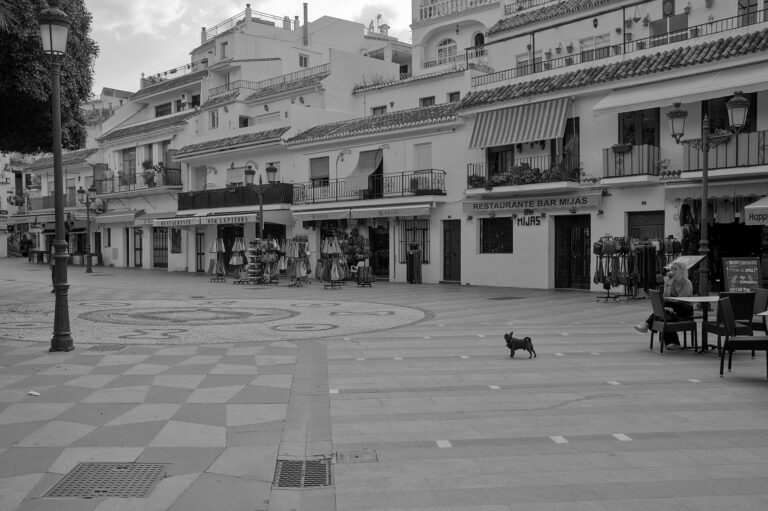 Street photo in Mijas, Spain by Black Pixel