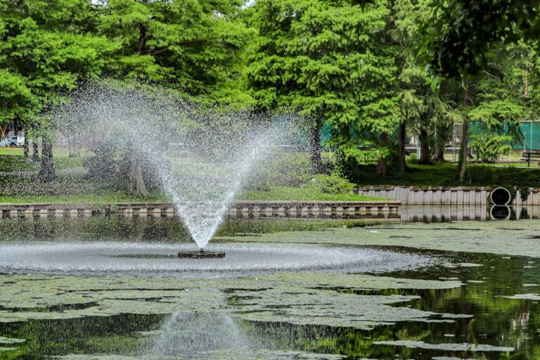 Photo by Sebastrian W..