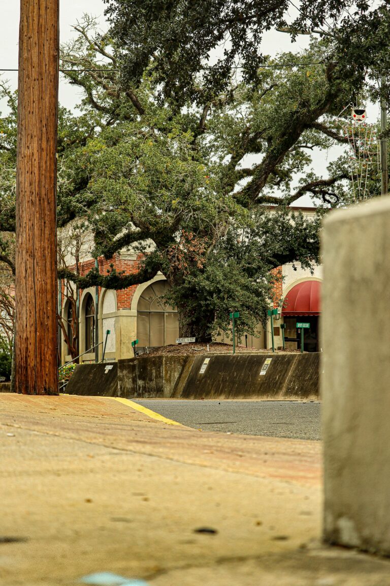 Photo by Sebastrian W..