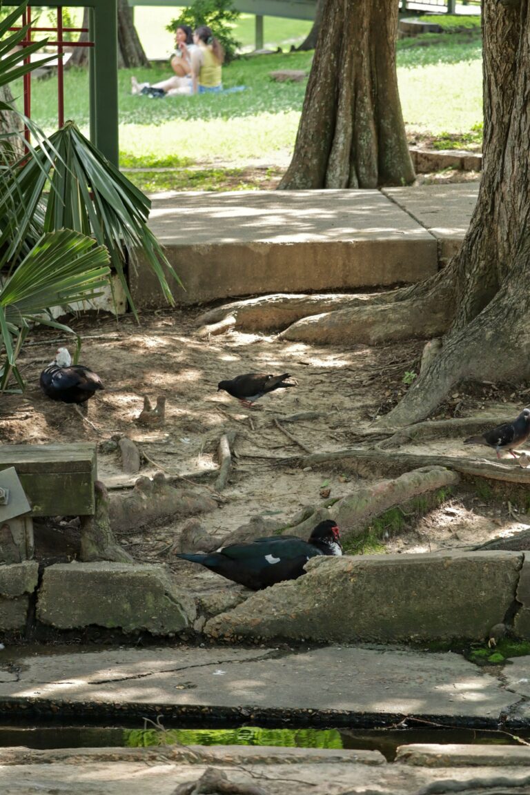 Photo by Sebastrian W..