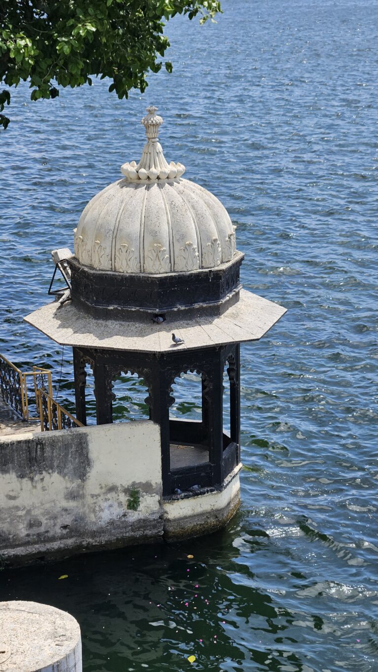 Street photo in Udaipur, India by Durga Agarwal