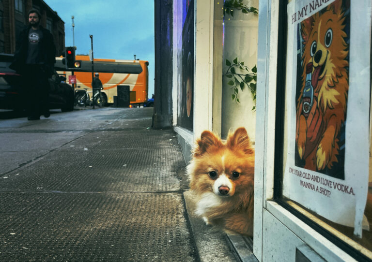 Photo by Framelines 81