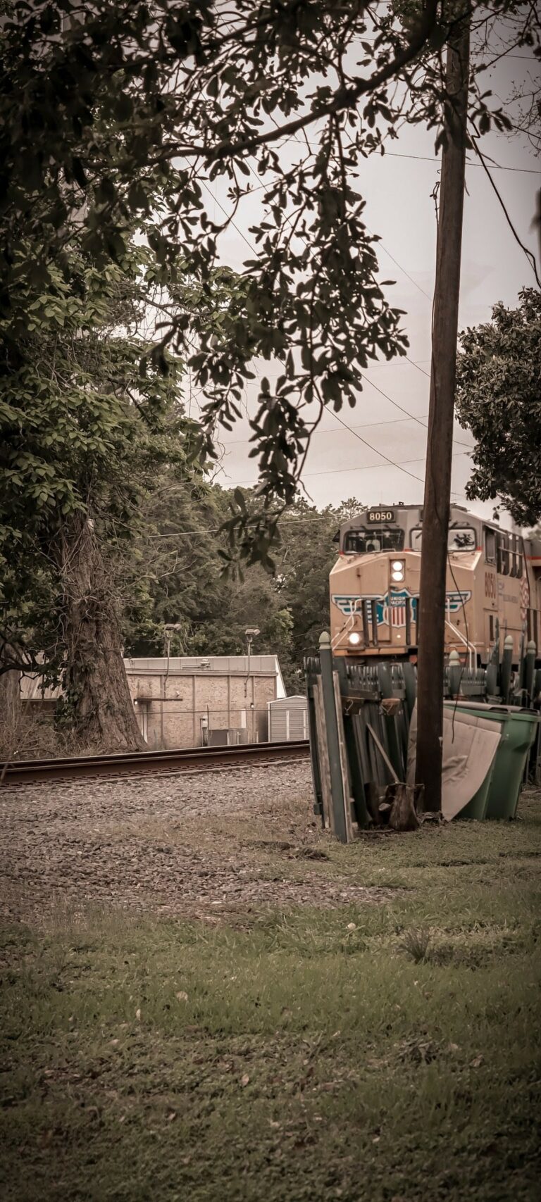 Photo by Sebastrian W..