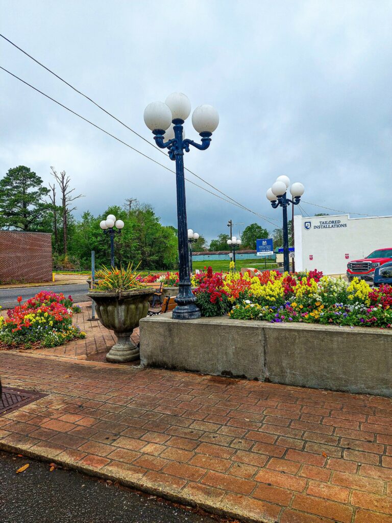 Photo by Sebastrian W..