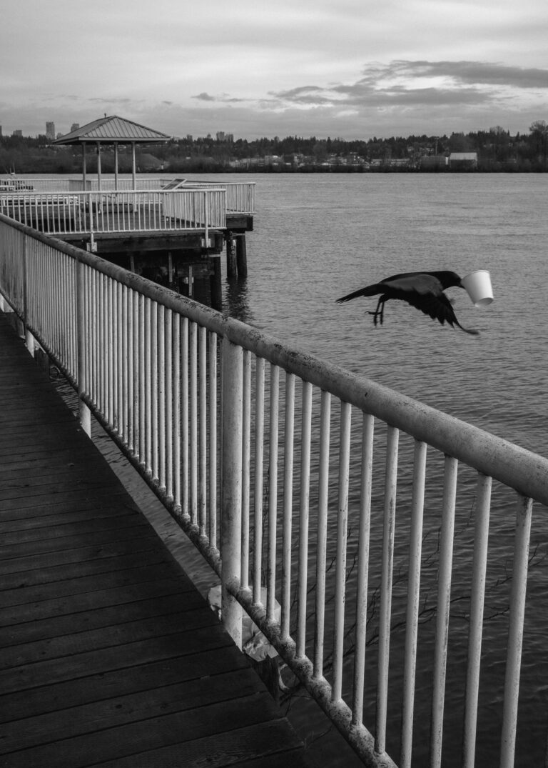 Photo by Jeremy Renke