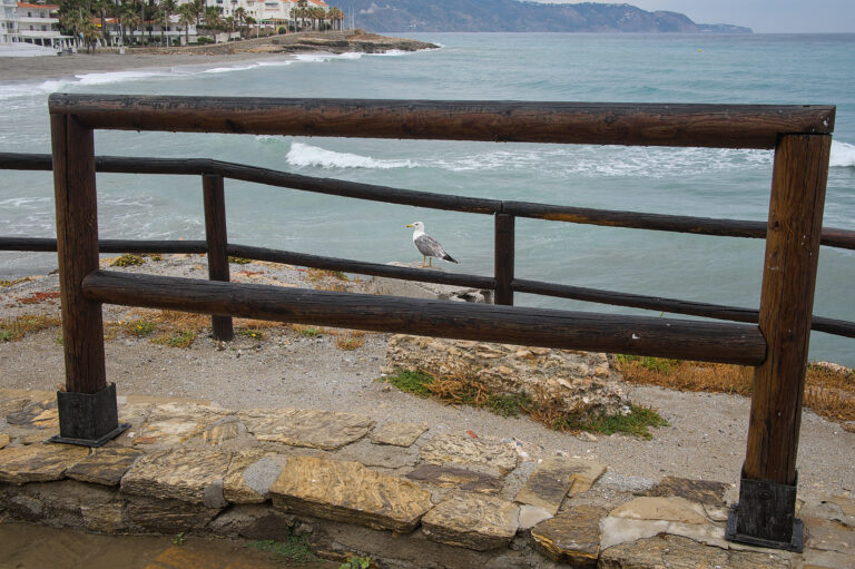 Photo by Black Pixel