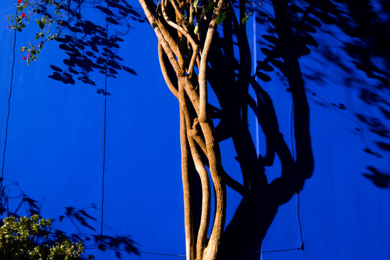 Photo by Chris Jones