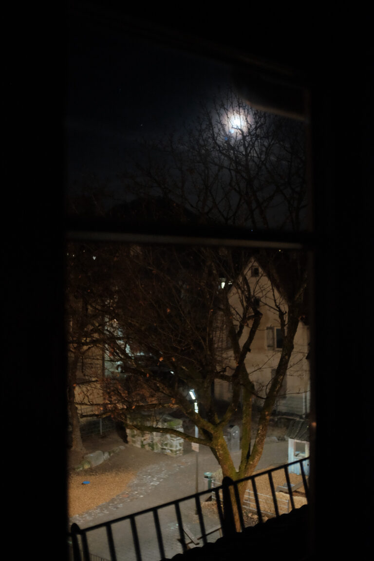 Photo by Jef 📷🍀