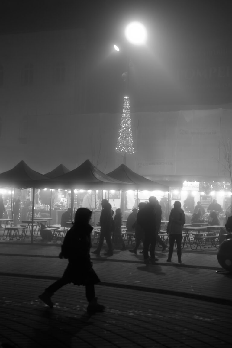 Photo by Cosnete Marian