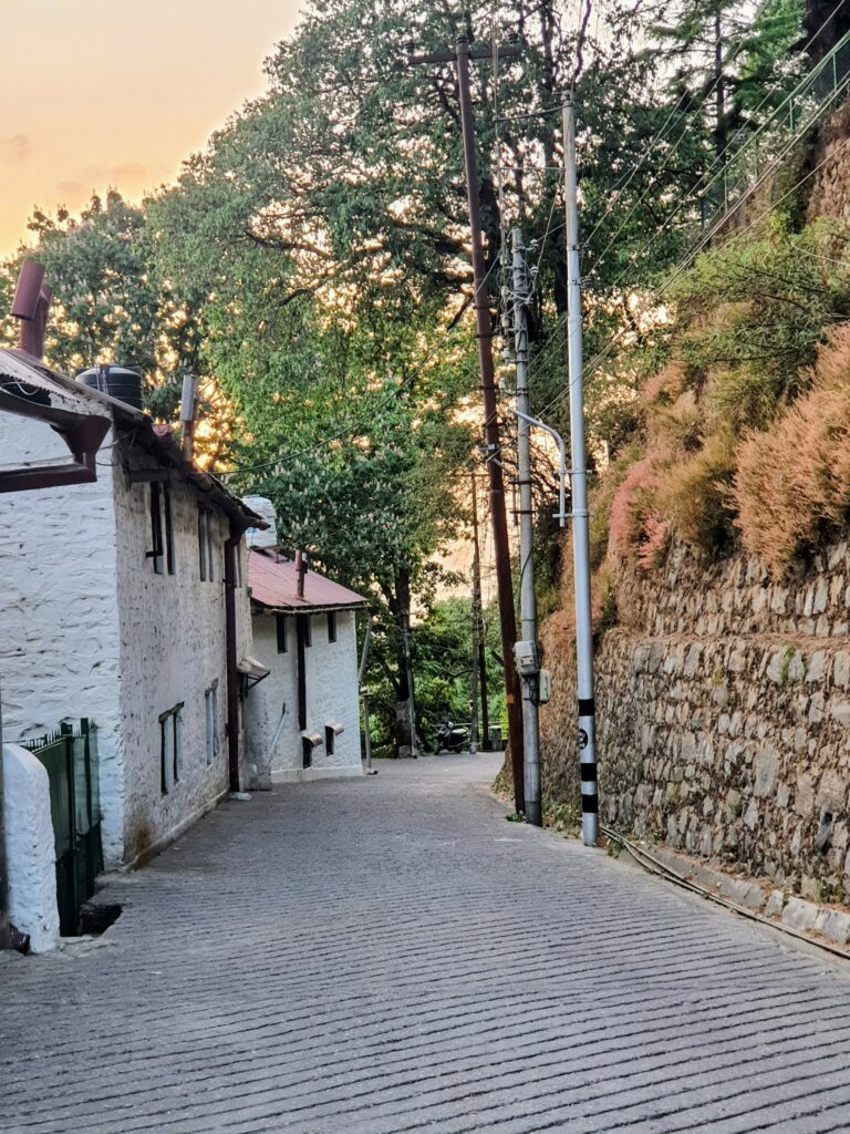 Photo by Durga Agarwal