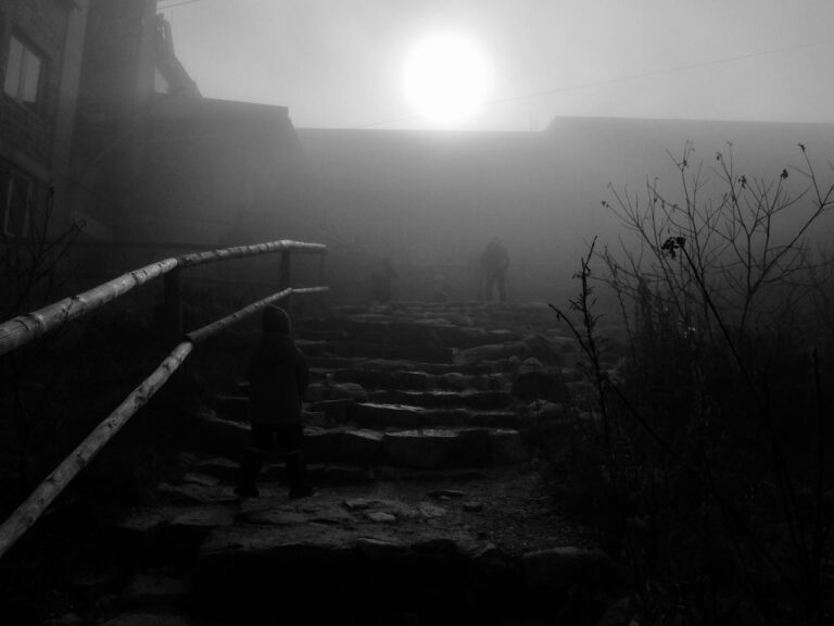 Photo by Iryna Iniutochkina