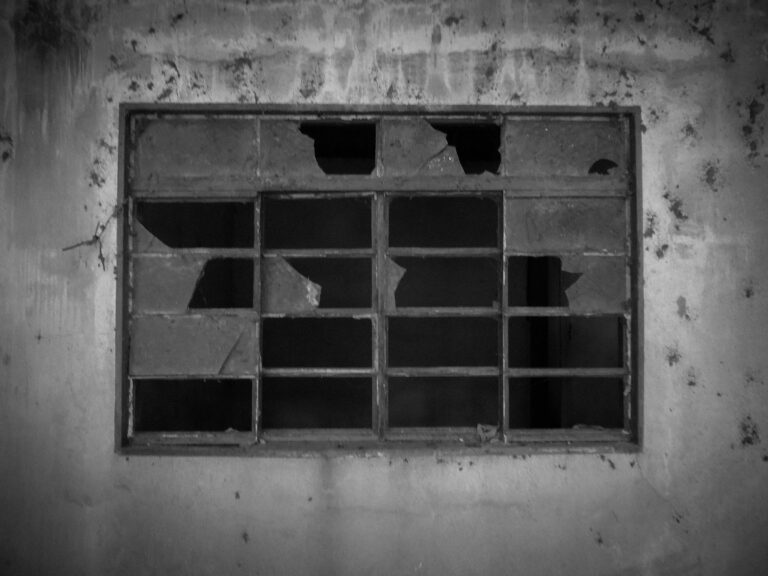 Photo by Gabriel Queiroz