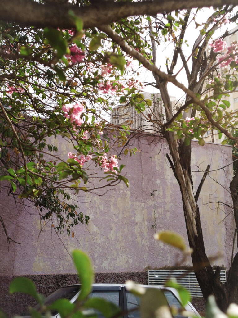 Photo by Gabriel Queiroz