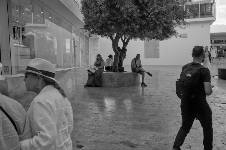 Photo by Black Pixel