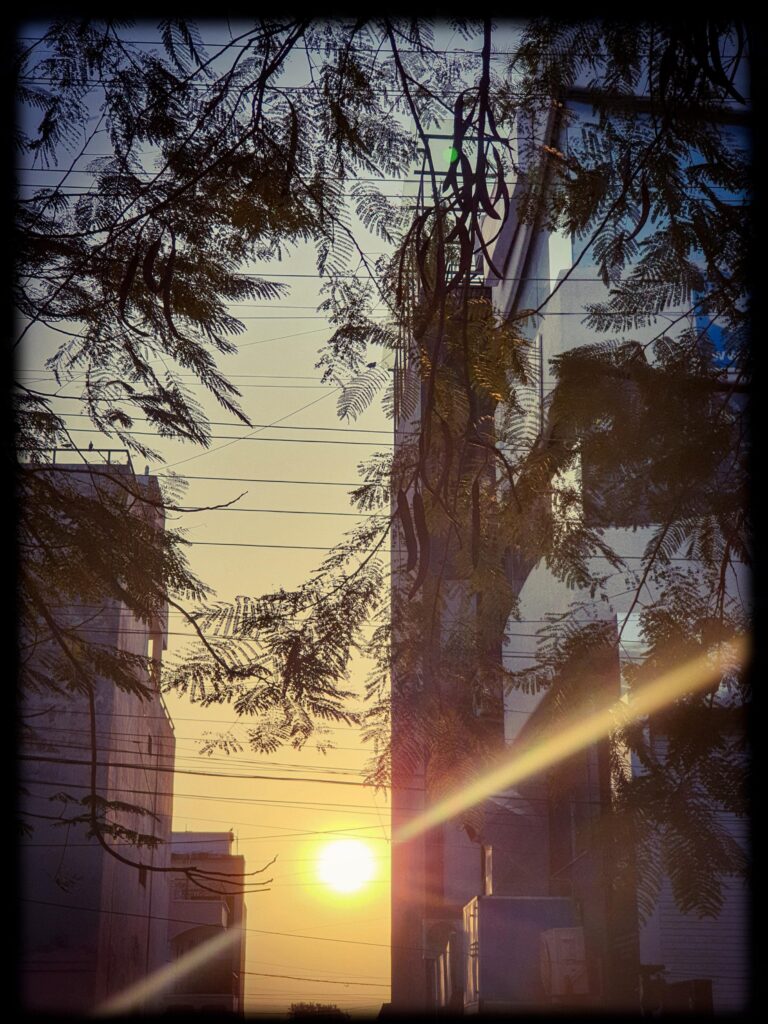 Photo by Durga Agarwal