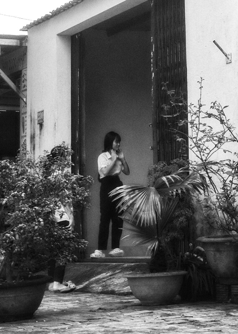 Photo by David Rockwood