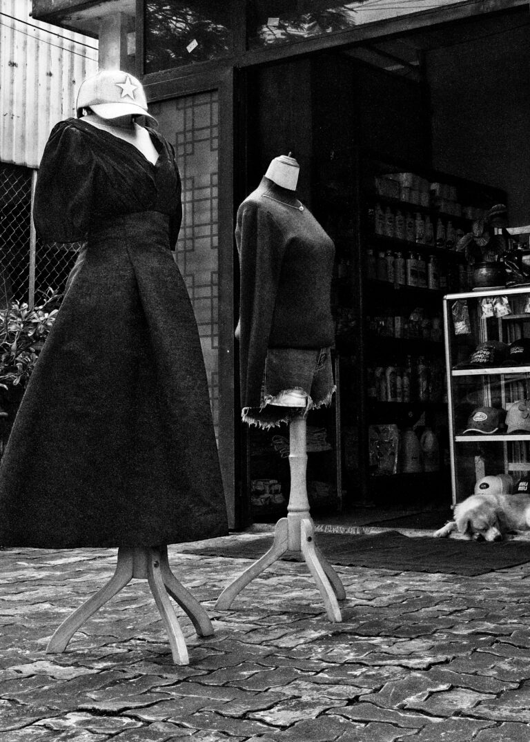 Photo by David Rockwood