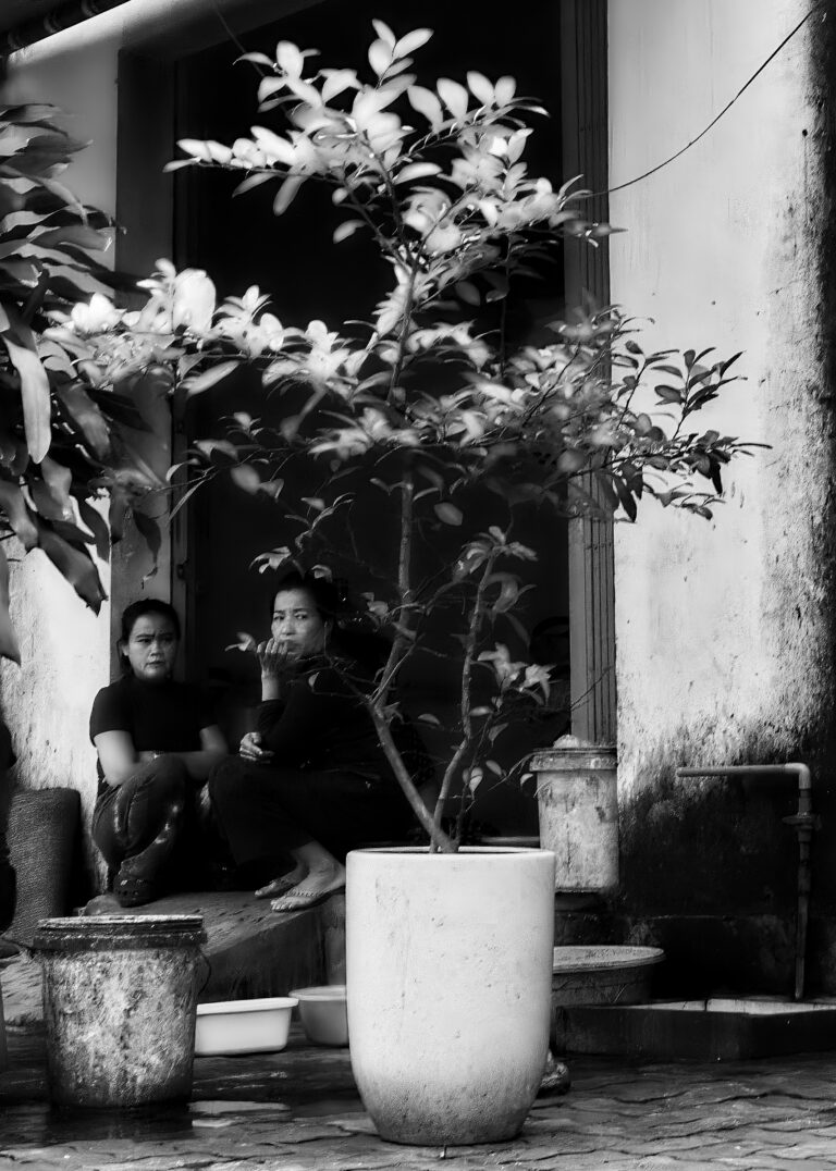 Photo by David Rockwood