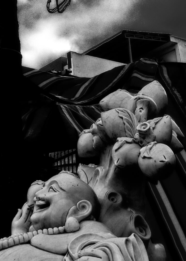 Photo by David Rockwood