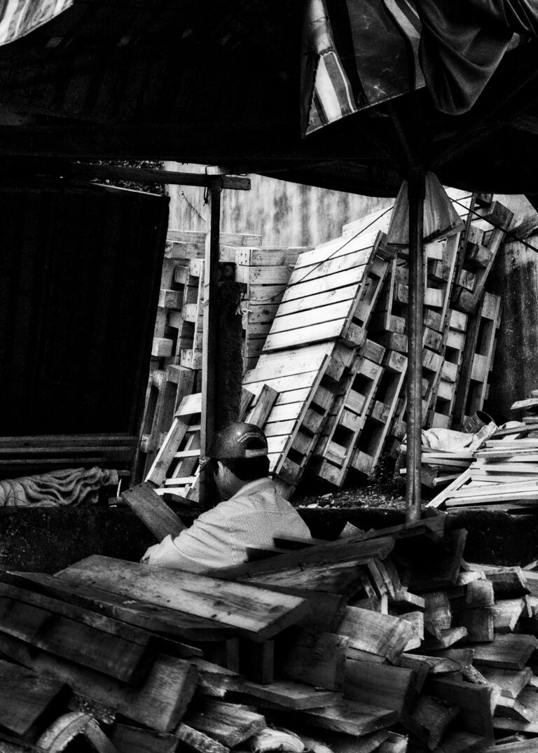 Photo by David Rockwood