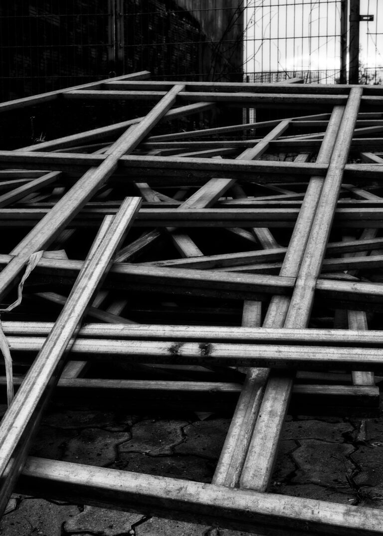 Photo by David Rockwood