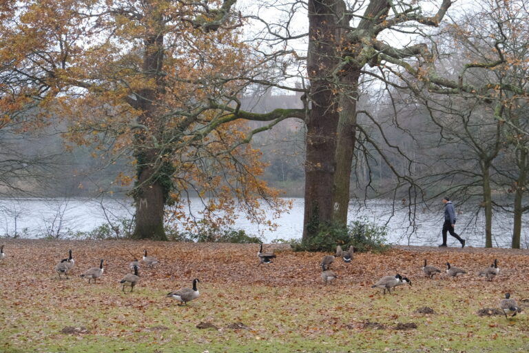 Photo by Yusuf Gungor