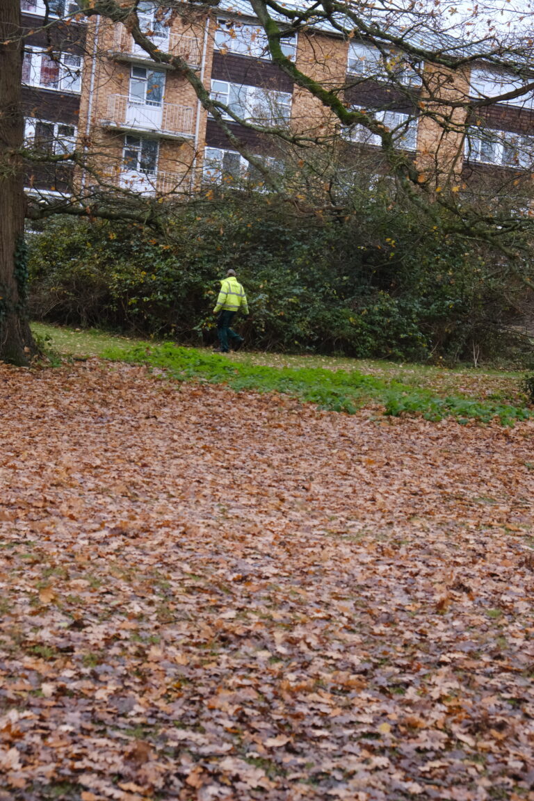 Photo by Yusuf Gungor