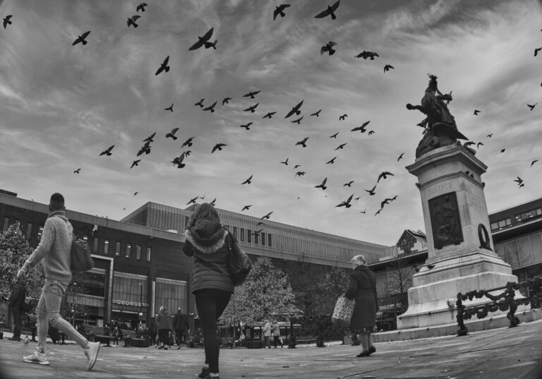 Photo by Norman Pritchard