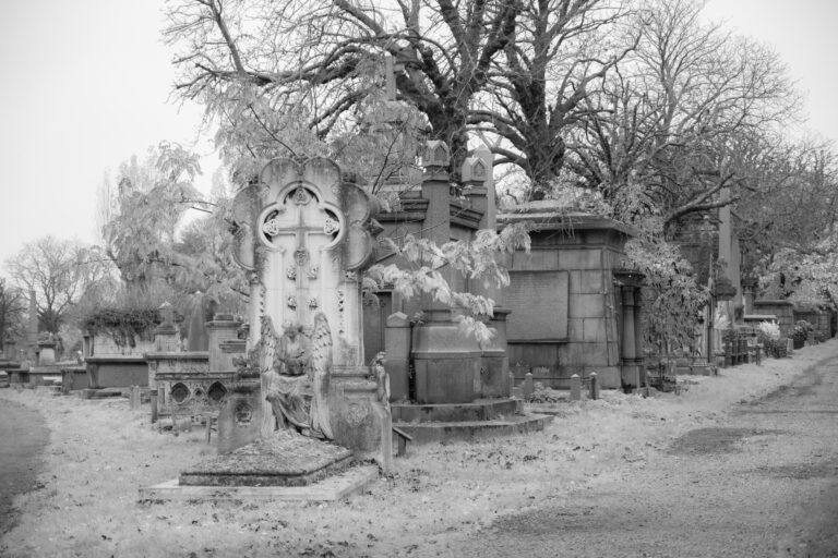 Photo by Julian Heritage