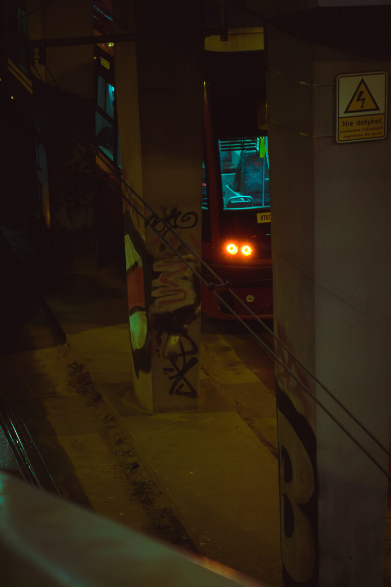 Photo by Grzegorz Obrocki