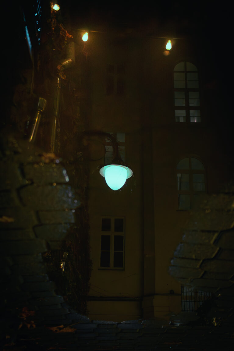 Photo by Grzegorz Obrocki