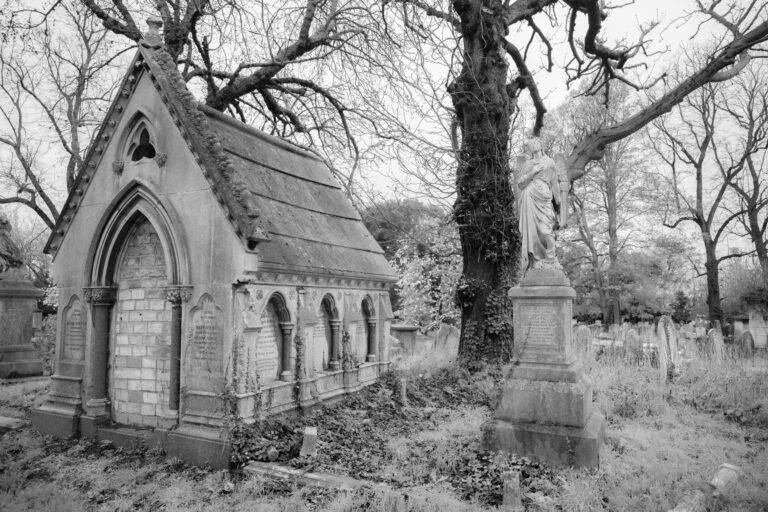 Photo by Julian Heritage