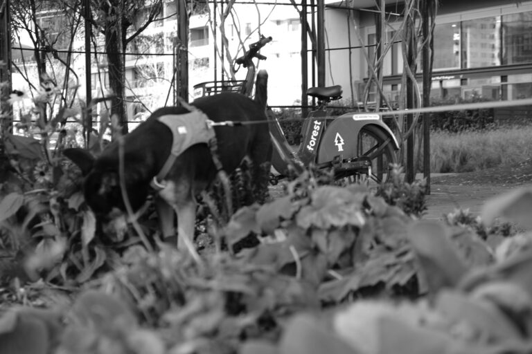 Photo by Yusuf Gungor