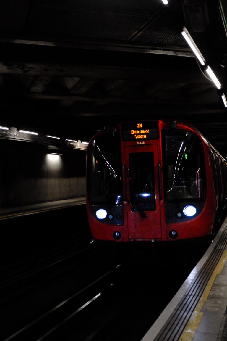 Photo by Yusuf Gungor