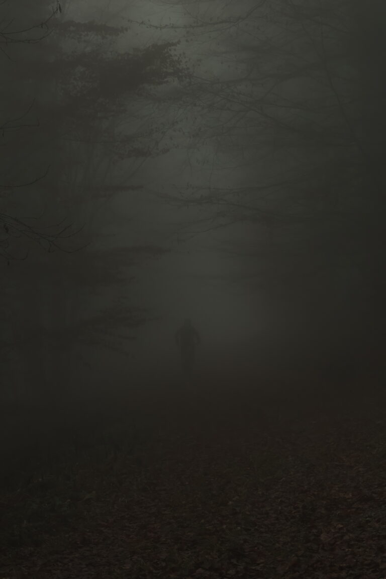 Photo by Nao なお。