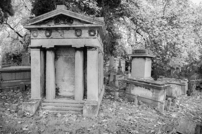 Photo by Julian Heritage