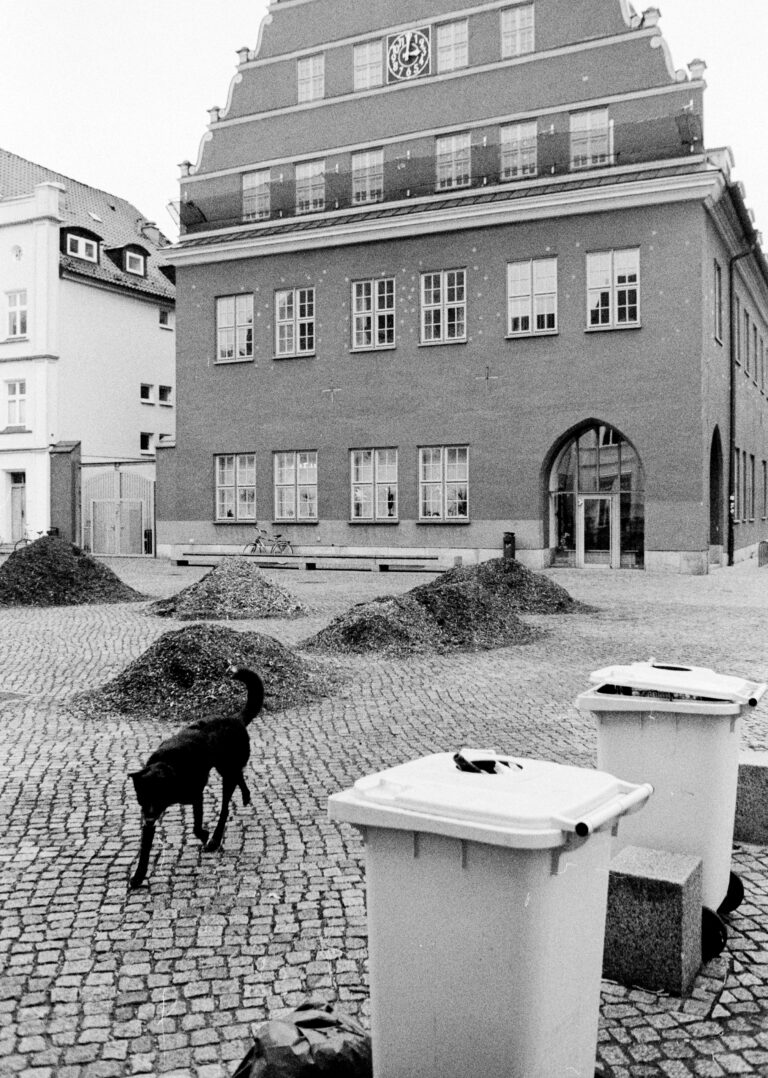 Photo by Christian Michael