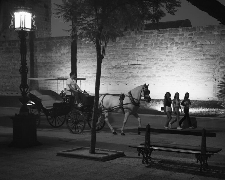 Photo by Pascal Hoerner