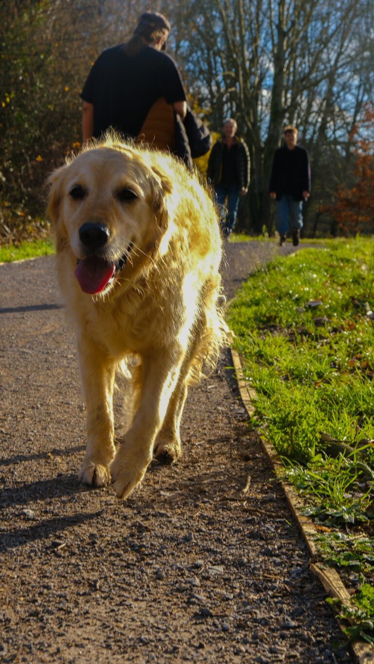 Photo by Yusuf Gungor